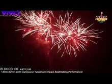 Load and play video in Gallery viewer, Bloodshot - 139 shot - 70 seconds