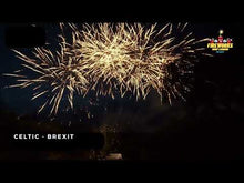 Load and play video in Gallery viewer, Brexit - 19 shot