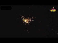 Load and play video in Gallery viewer, The Asylum 9 Cake Assortment By Vivid Pyrotechnics