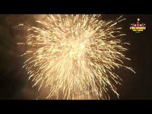 Load and play video in Gallery viewer, The Joker - Hallmark