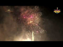 Load and play video in Gallery viewer, Hocus Pocus - 230 Shots - Hallmark