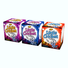 Load image into Gallery viewer, Little Cricket - 8 Shots