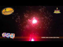 Load and play video in Gallery viewer, Little Cricket - 8 Shots