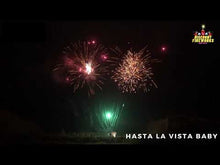 Load and play video in Gallery viewer, Hasta La Vista Baby - 119 shot