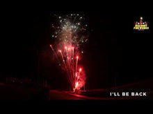 Load and play video in Gallery viewer, I'll be back - 102 shot