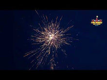 Load and play video in Gallery viewer, Tigers Revenge - Hallmark
