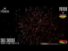 Load and play video in Gallery viewer, Shell Shocked 139 Shots - Pyroworx
