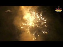 Load and play video in Gallery viewer, Insidious 332 Shots - Hallmark
