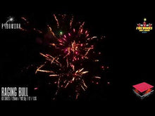Load and play video in Gallery viewer, Raging Bull 68 Shots - Pyroworx
