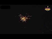 Load and play video in Gallery viewer, The Asylum 9 Cake Assortment By Vivid Pyrotechnics
