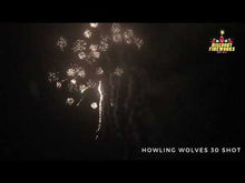 Load and play video in Gallery viewer, Howling Wolves - 30 shot
